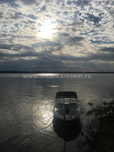 К рыбалке готовы