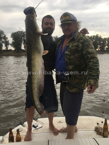 Сом на квок днем