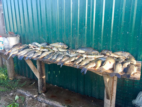 Подводная охота на раскатах в дельте Волги